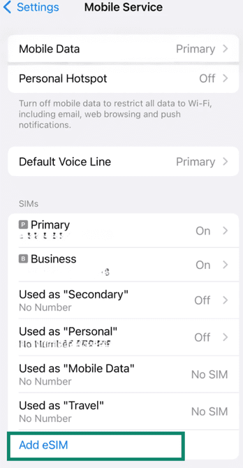 iPhone Cellular settings with the Add eSIM option.