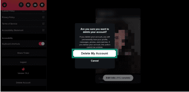 The Tinder desktop account deletion window, highlighting the confirm to delete text box.