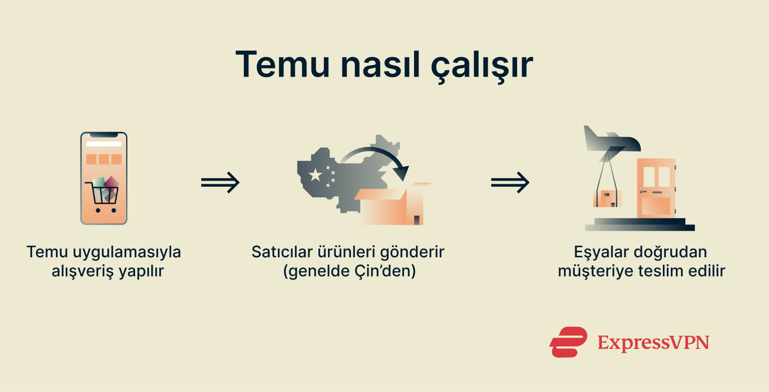 Infographic showing how Temu works