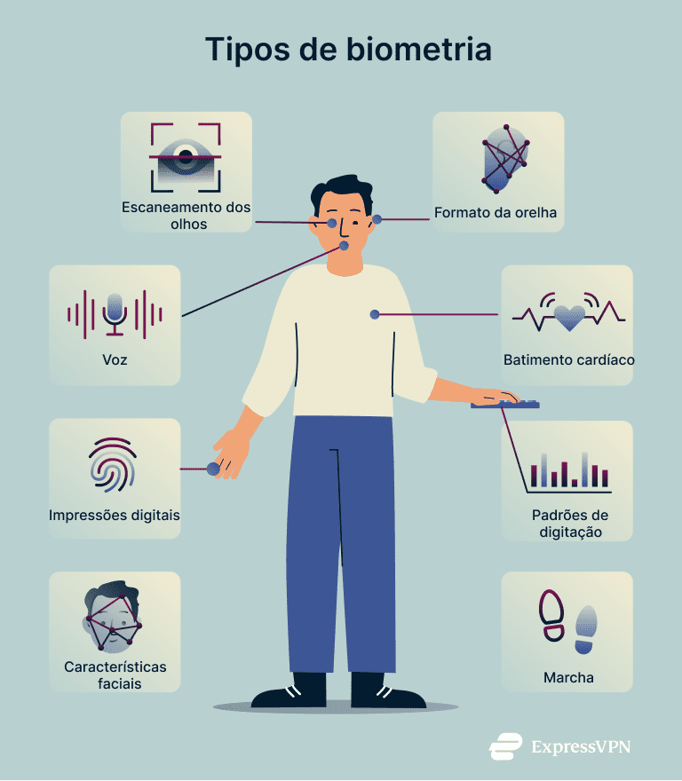 What Is Biometrics Types Of Biometrics 3 1 1