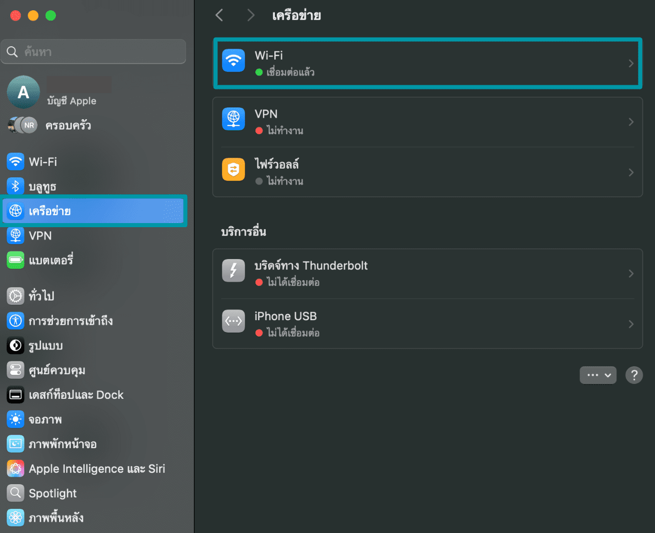 Access your connected Wi-Fi network on iOS to change its DNS settings.