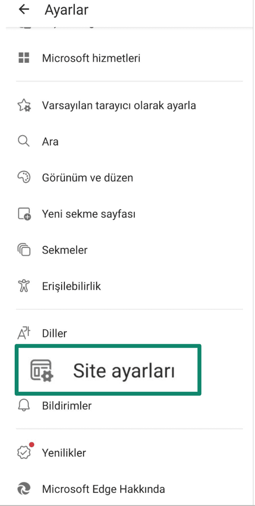 Edge browser settings screen with Site settings option highlighted.