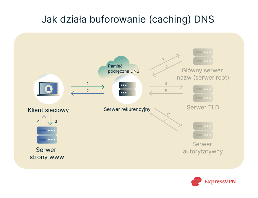Image How Dns Caching Works Pl