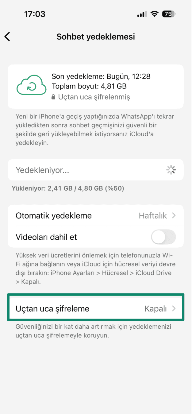 Look For End To End Encrypted Backup Tr 1