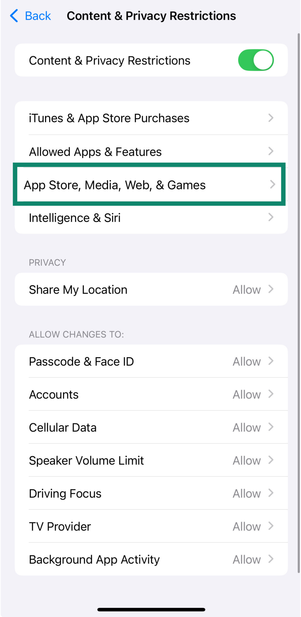 App Store, Media, Web & Games restrictions menu on iPhone