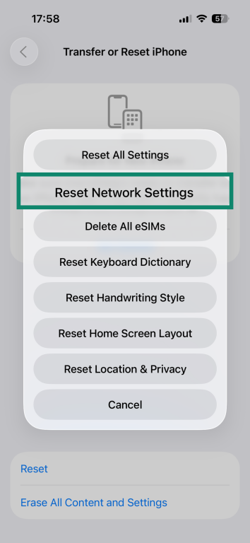 iOS Reset Network Settings menu.