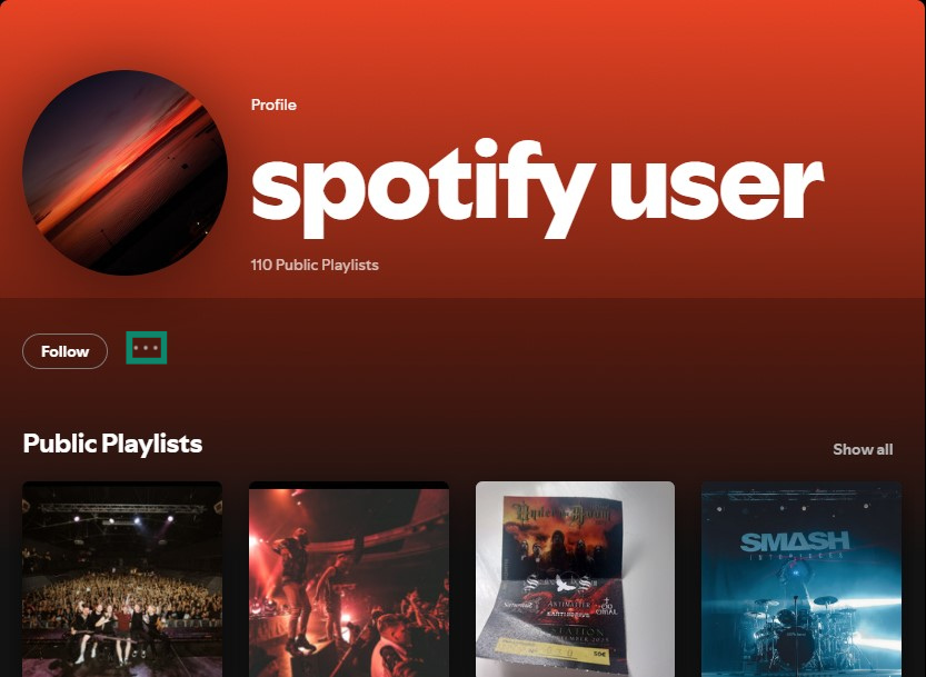 Spotify user profile highlighting the button to open the options menu.