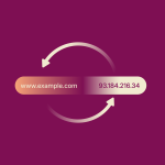 The ultimate guide to recursive DNS: Everything you need to know