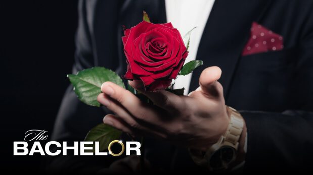Unelmien poikamies (The Bachelor) -otsikkokuva