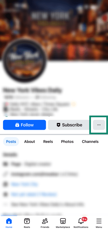 A profile page on the Facebook app, with the three dots button highlighted.