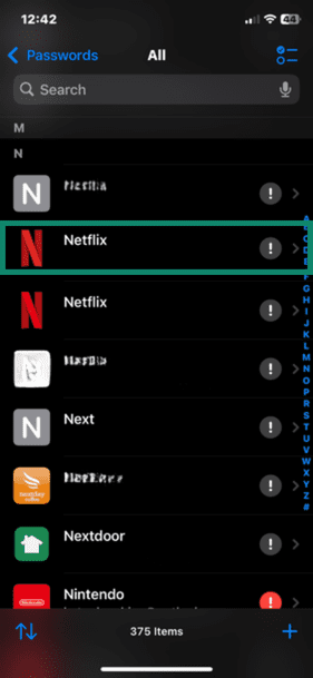 iOS Passwords app open with Netflix account login highlighted