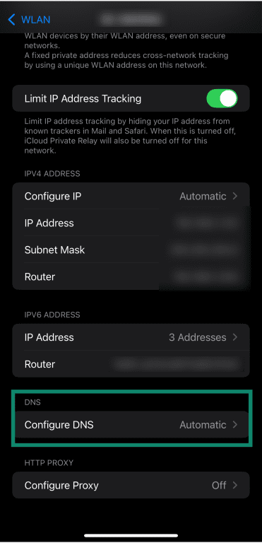 Accessing DNS settings for connected network on iOS.