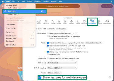 How to enable the developer tab in Safari.