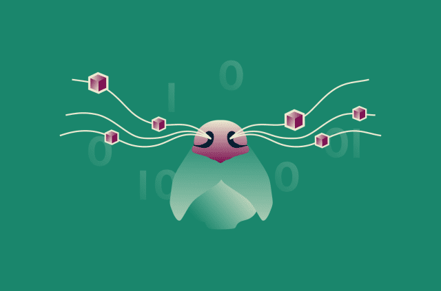 How to prevent packet sniffing attacks