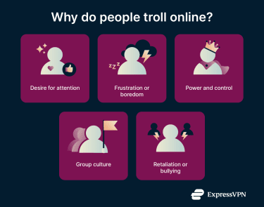 An overview of why peope troll on the internet